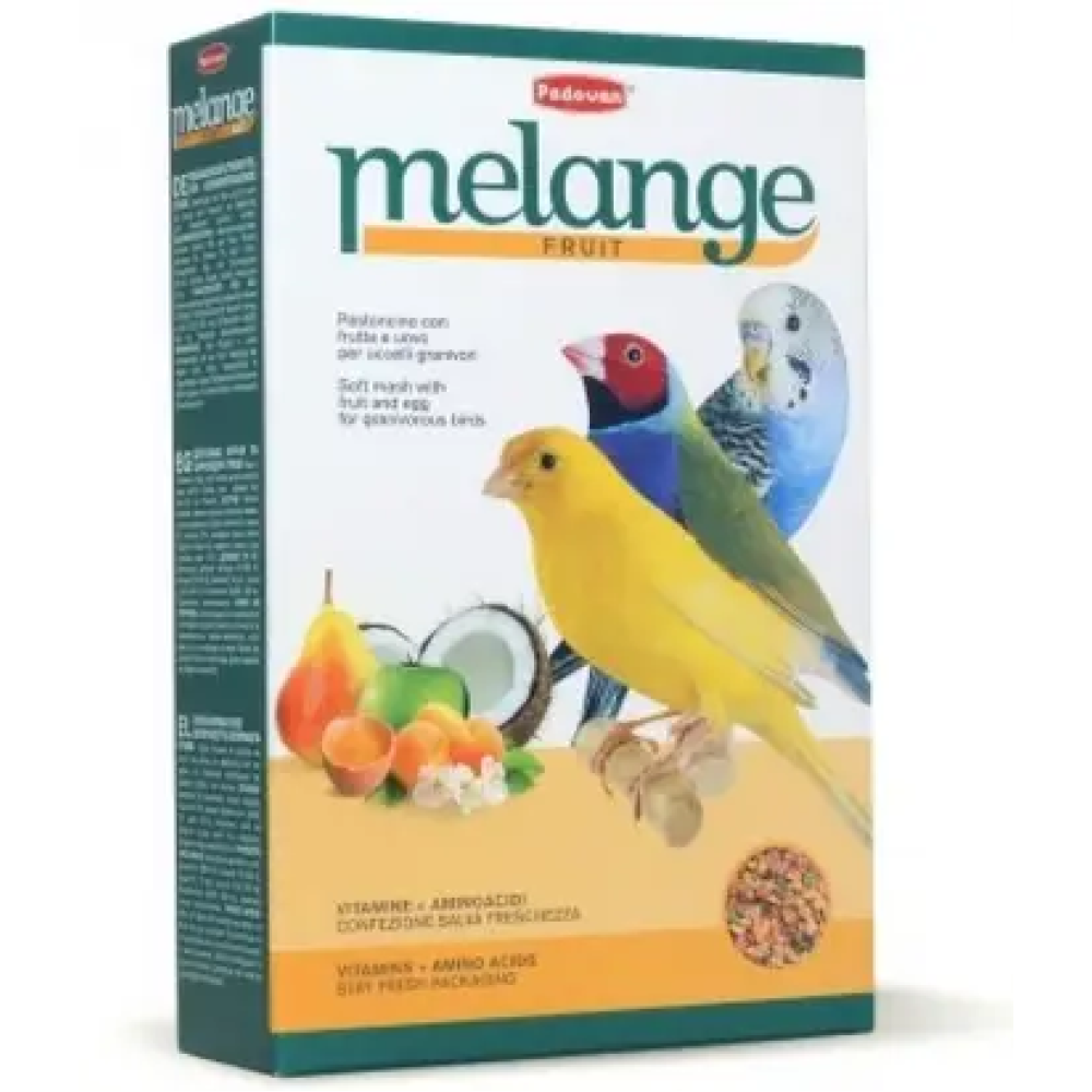Padovan Melange Fruit корм для зерноедных птиц 300г