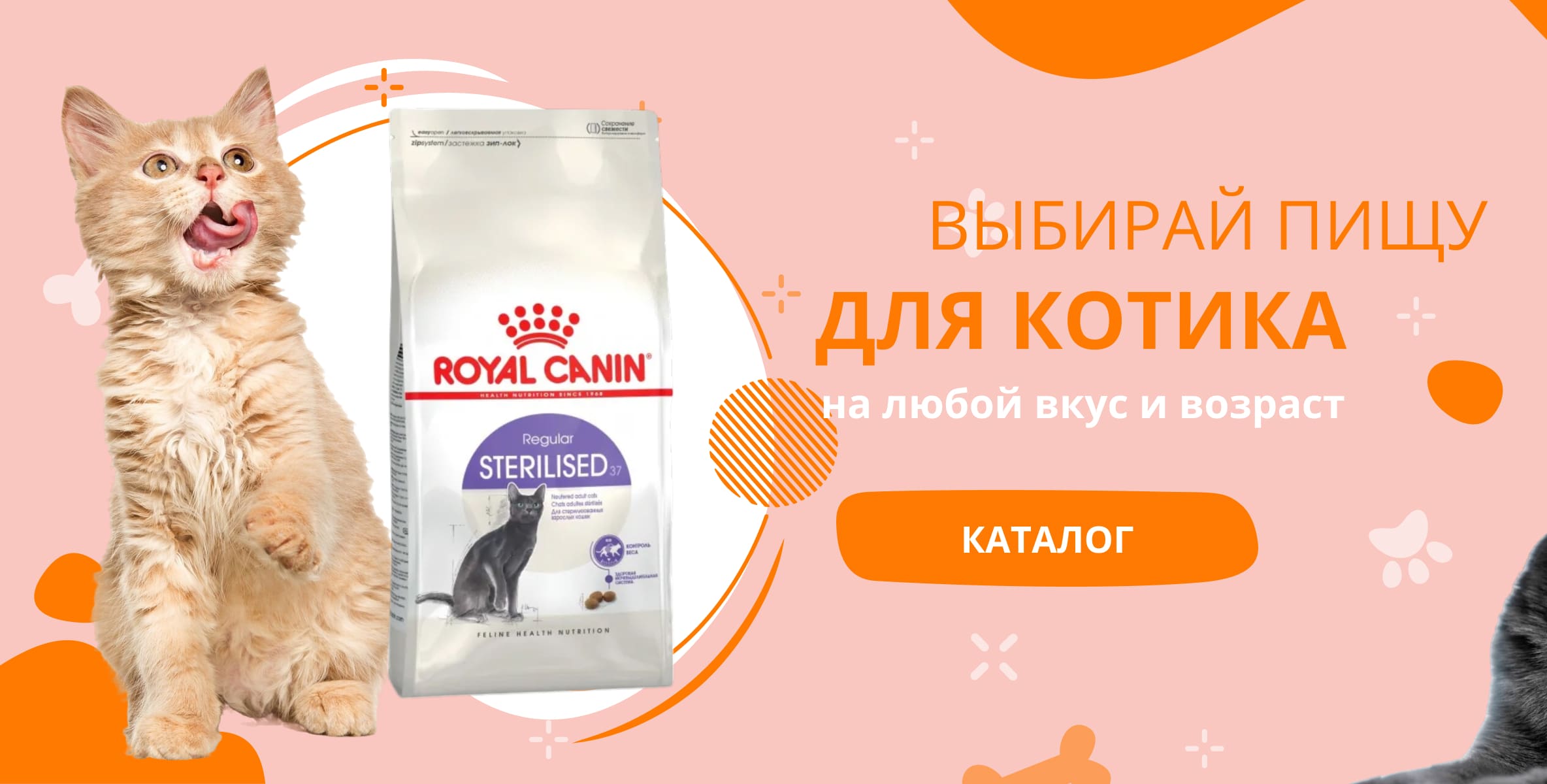 Еда для котов